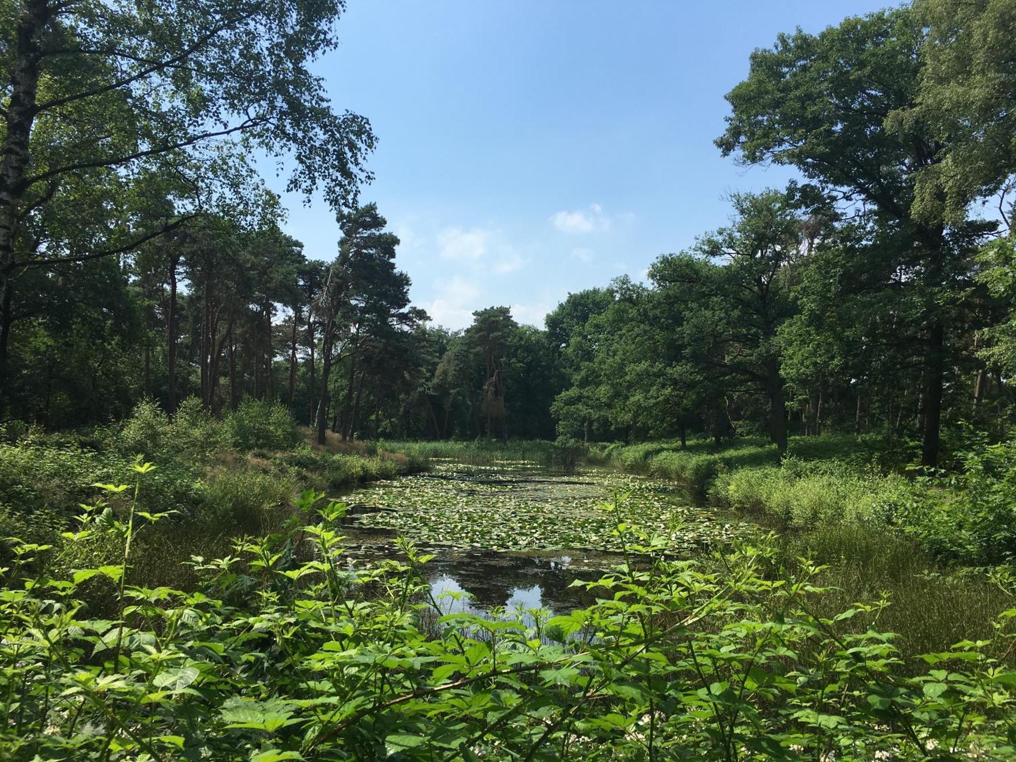 Hotel Kapellerput Heeze-Eindhoven Luaran gambar